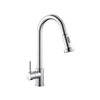 Single Lever Mixer Chrome with Pull Out Spout